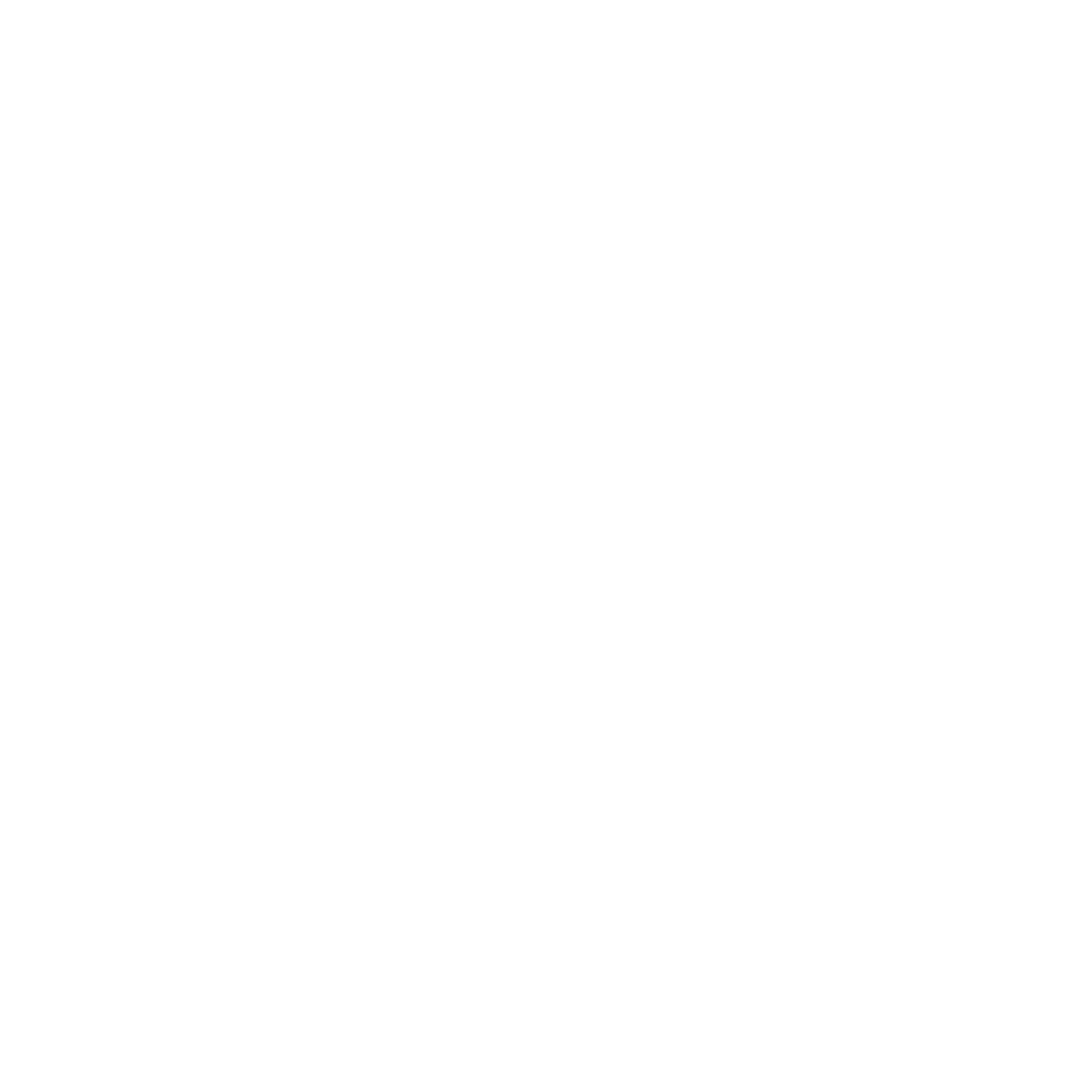 Daniela Arenhardt Fotografia